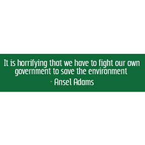 Fight Government Ansel Adams Bumper