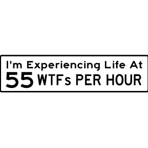 Life at 55 WTFs Bumper Sticker