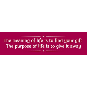 Meaning Purpose Bumper Sticker GONE