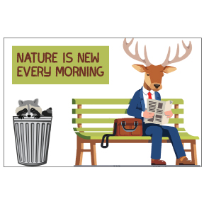 Nature New Magnet