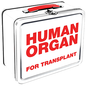 Organ Transplant Lunch Box