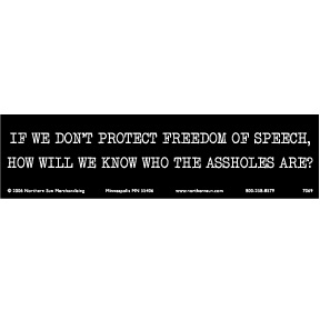 Protect Speech Bumper Sticker