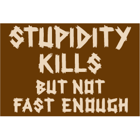 Stupidity Kills Magnet