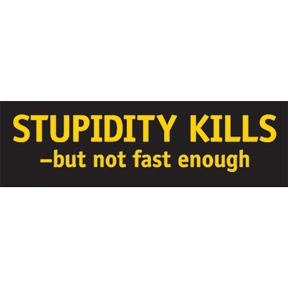 Stupidity Kills Sticker