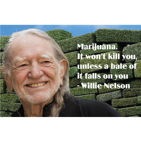 Willie Nelson Magnet