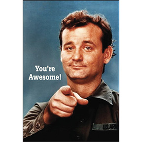 You're Awesome Magnet