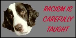 Racism